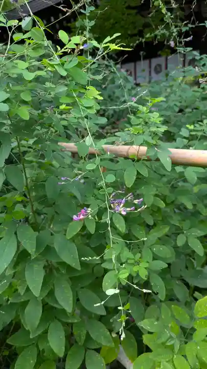 梨木神社(京都府)
