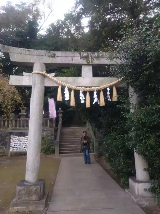 前玉神社(埼玉県)