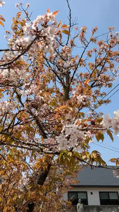 玄隆寺(京都府)