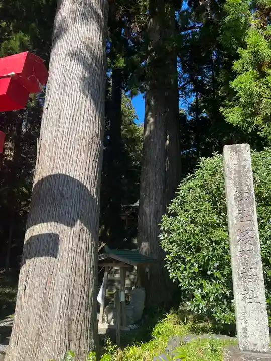 須山浅間神社(静岡県)