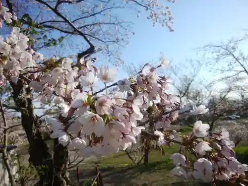 虻田神社の自然