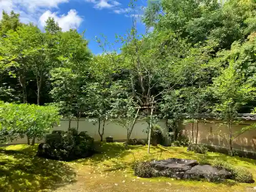 妙心寺（妙心禅寺）(京都府)