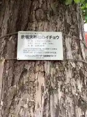 天神社（余坂天神社）の建物その他