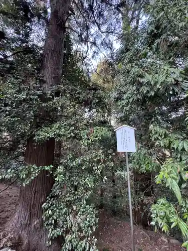 一之宮貫前神社(群馬県)