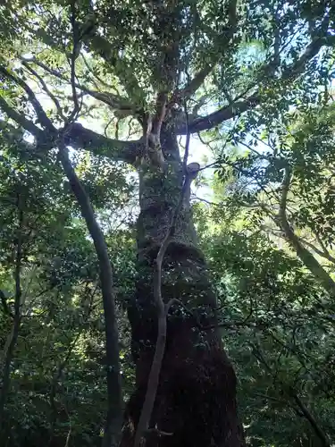 花窟神社(三重県)