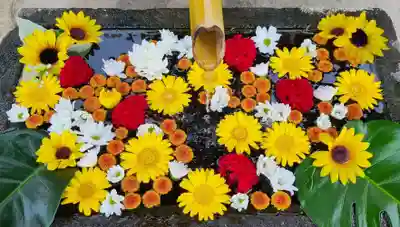 差出磯大嶽山神社 仕事と健康と厄よけの神さまの手水舎