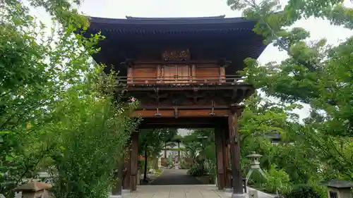 善長寺の山門