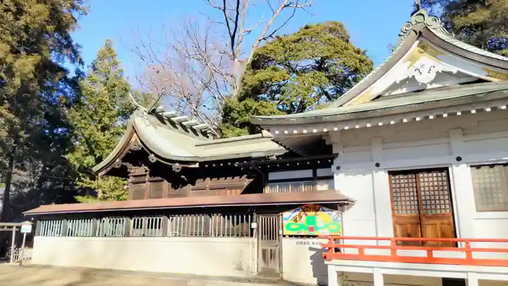白岡八幡神社(埼玉県)