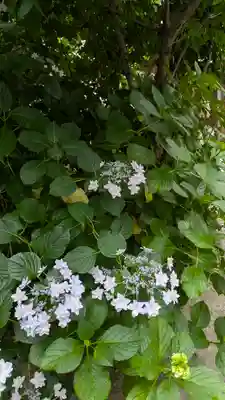 和光寺(大阪府)