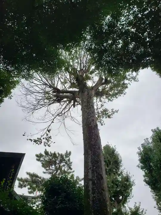 八幡神社(東京都)