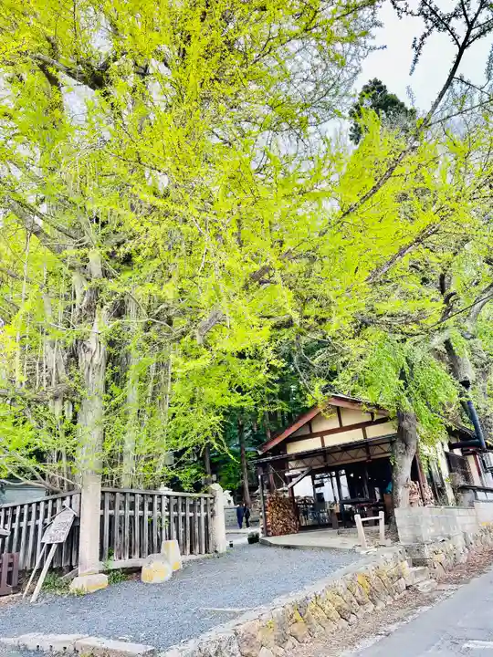 熊野大社(山形県)