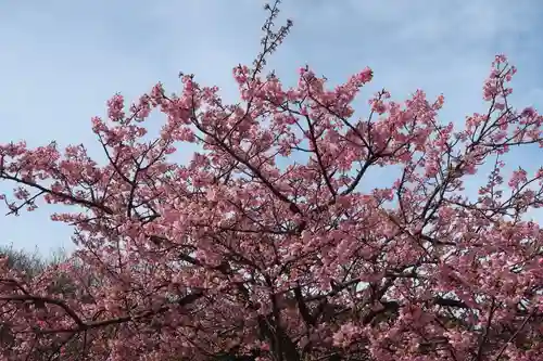 北室院(愛知県)