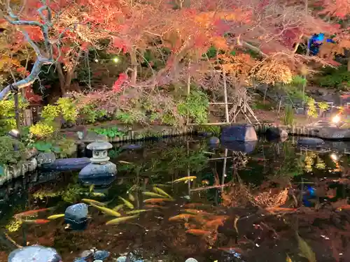 長谷寺の庭園