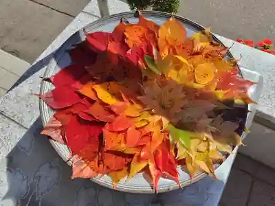 美瑛神社の手水舎