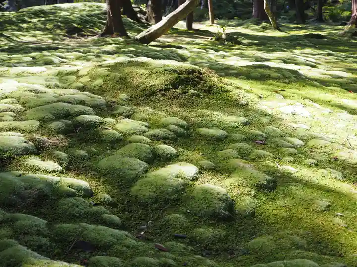 西芳寺(京都府)