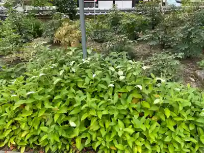 當麻寺 西南院(奈良県)