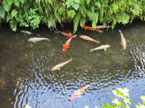 臼杵石仏の動物