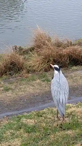 若宮八幡宮（陶器神社）(京都府)