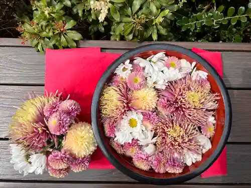 増上寺塔頭 三縁山 宝珠院の芸術