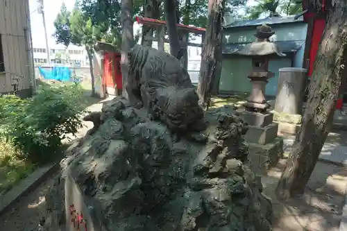 今井神社の狛犬