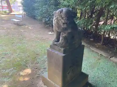富岡八幡宮の狛犬