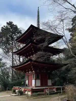 浄瑠璃寺(京都府)
