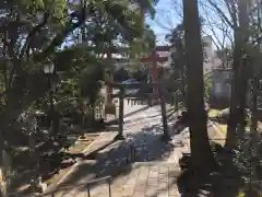 世田谷八幡宮の鳥居