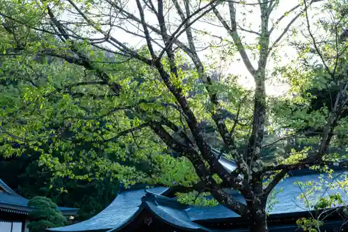 諏訪大社(長野県)