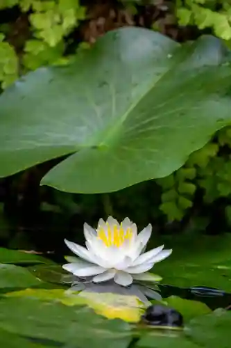 正安寺(神奈川県)