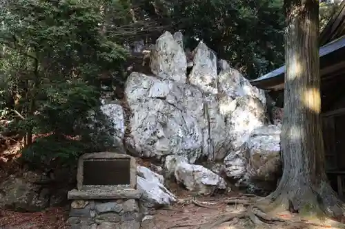 鹿島大神宮の自然