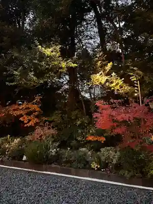 東京大神宮(東京都)