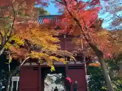 本土寺(千葉県)