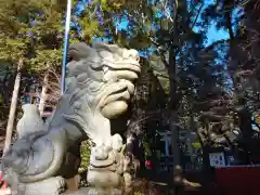 麻賀多神社の狛犬