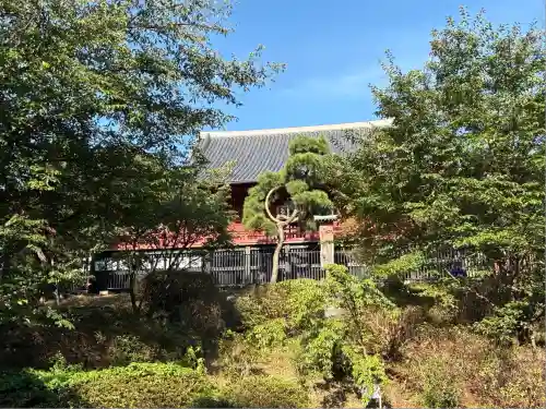 清水観音堂の自然