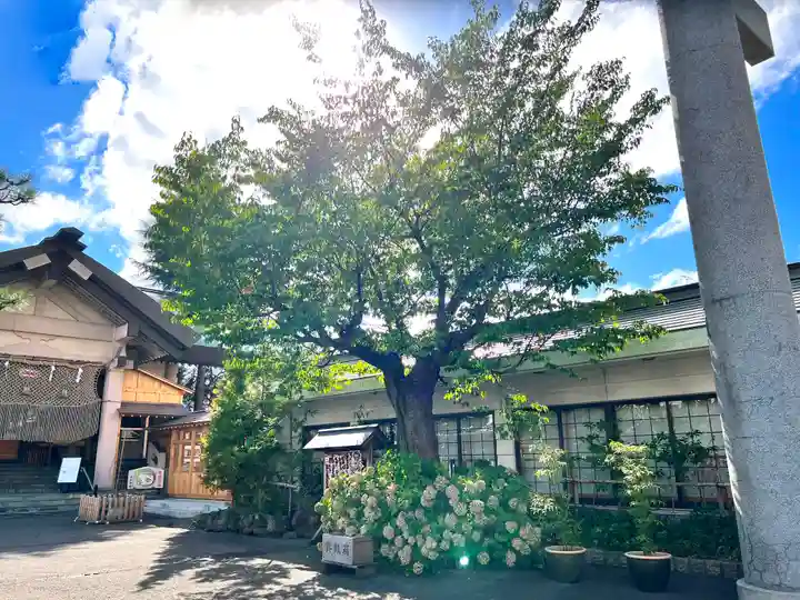 廣田神社~病厄除守護神~の自然
