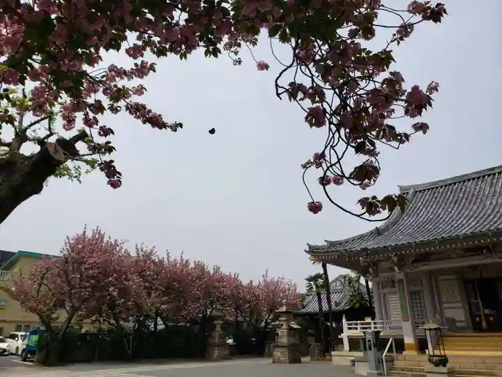 荘厳寺(東京都)