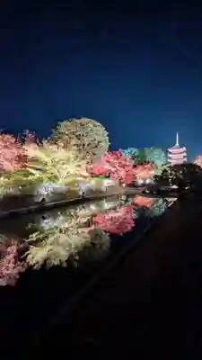 東寺（教王護国寺）(京都府)