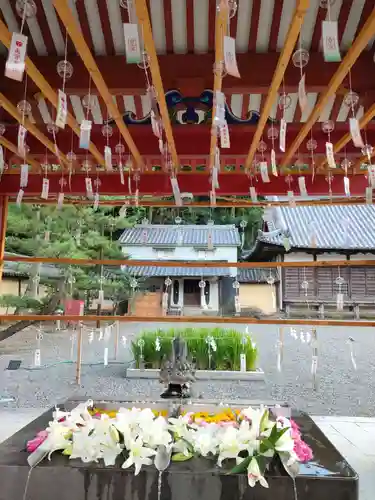 美濃國一宮　南宮大社の手水舎