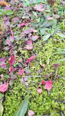 弥照神社(北海道)