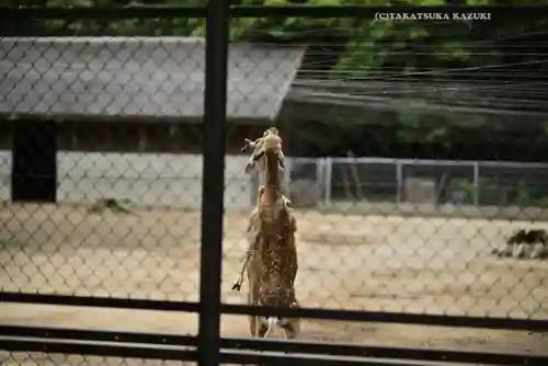 鹿島神宮(茨城県)