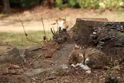 玉野御嶽神社(愛知県)