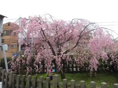 六孫王神社の庭園