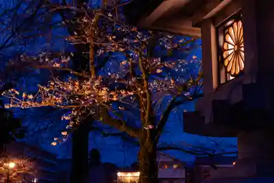 富士山本宮浅間大社(静岡県)