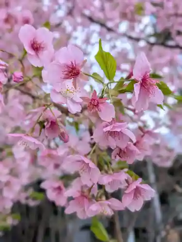 淀橋咳止地蔵尊(東京都)