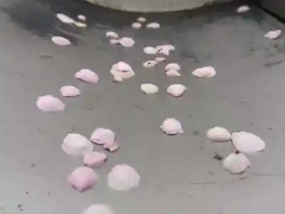 成就院(兵庫県)