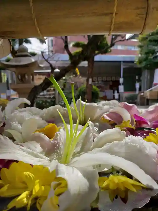 鳩森八幡神社(東京都)