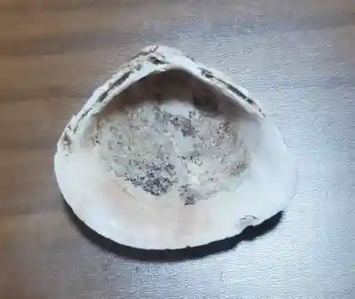 篠山神社(栃木県)