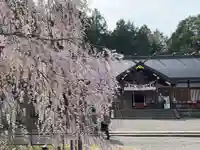 足羽神社(福井県)