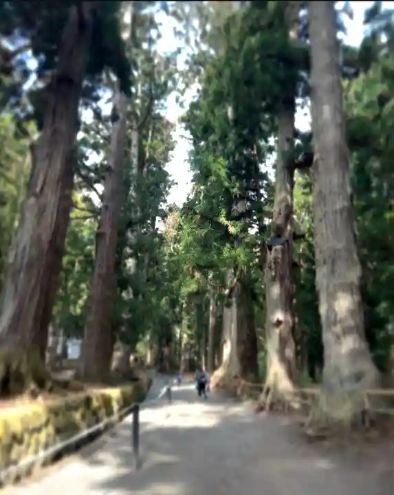 中尊寺 弁慶堂(岩手県)