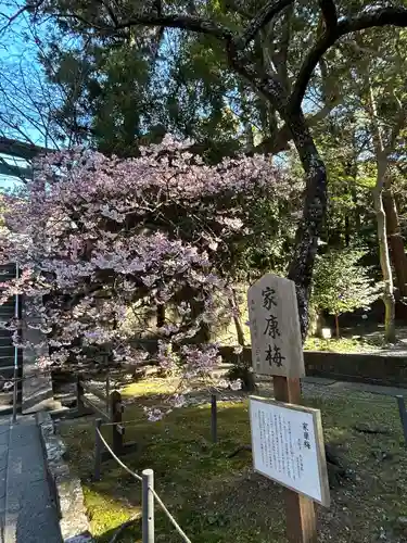 久能山東照宮(静岡県)